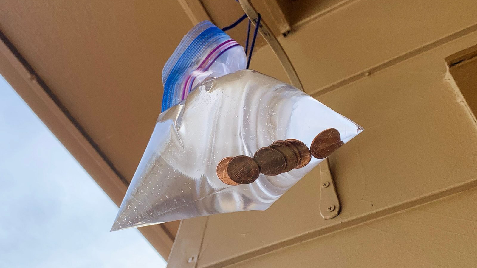 Hang Pennies in a Bag of Water, Here's Why