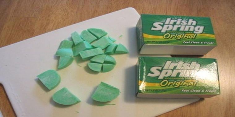 Scatter Soap In Your Yard During Summer